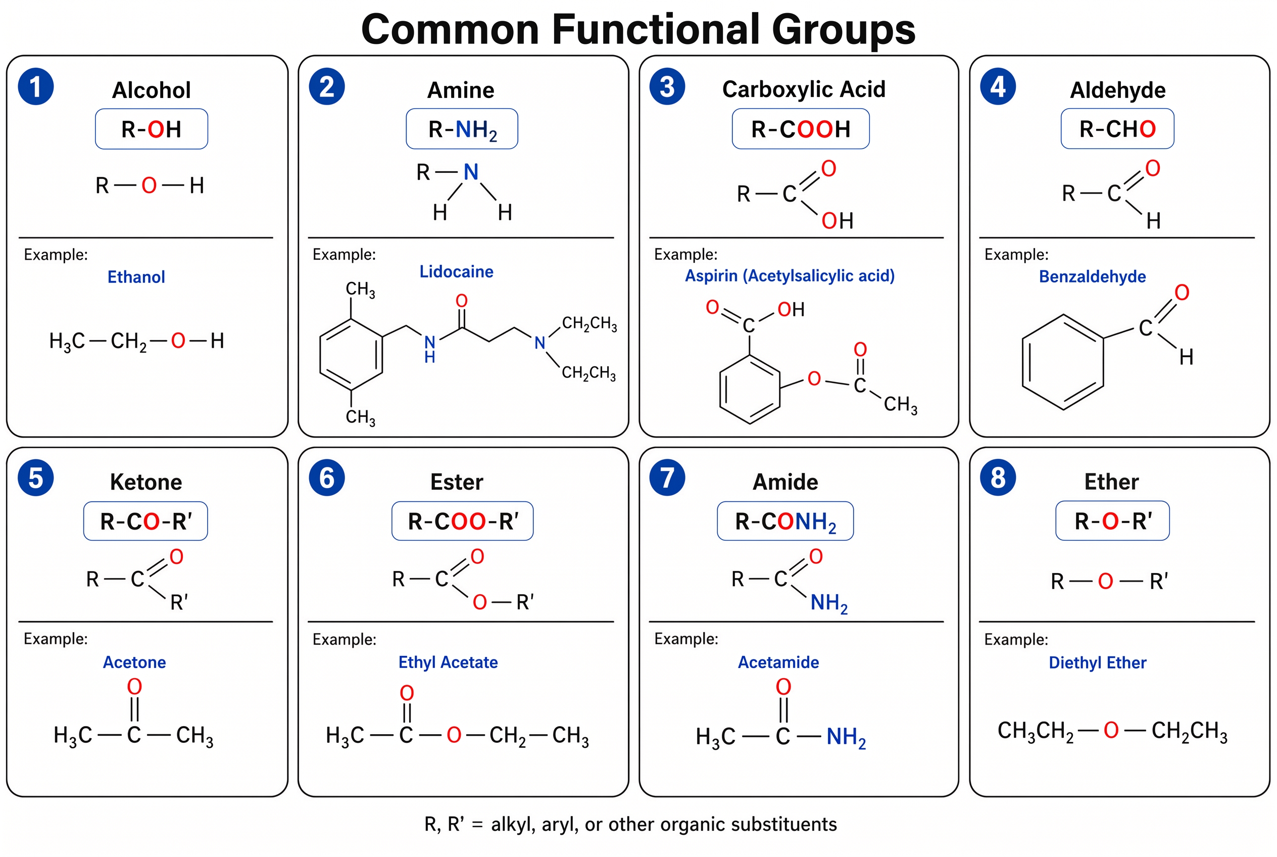 Chart of common organic functional groups including alcohol, amine, carboxylic acid, aldehyde, ketone, ester, amide, and ether with example molecules
